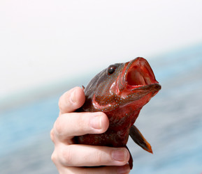 Similar image 629311