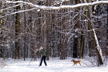 Similar image 629324