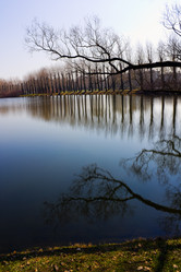 Similar image 629325