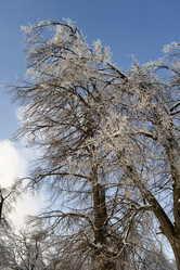 Similar image 629331