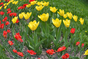 Similar image 629343