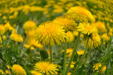 Similar image 629345