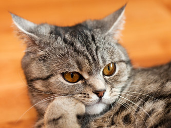 Similar image 629396