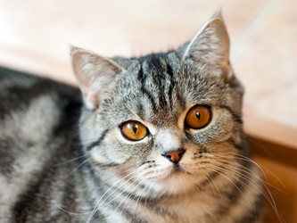 Similar image 629398