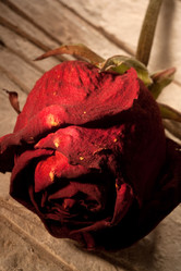 Similar image 629432