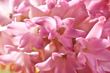 Similar image 629436