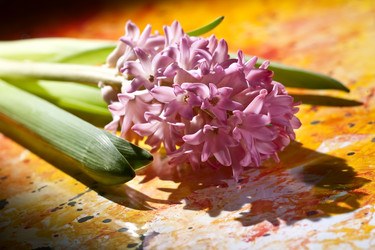 Similar image 629437