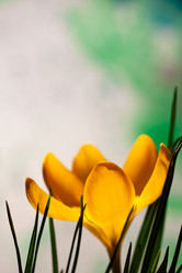 Similar image 629439