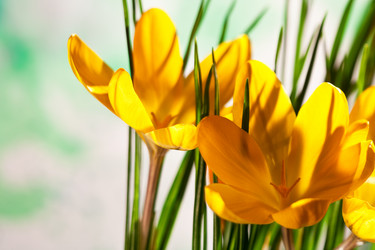 Similar image 629441