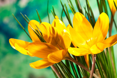 Similar image 629443