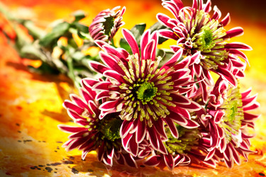 Similar image 629444