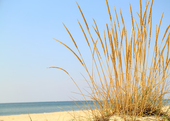 Similar image 629464