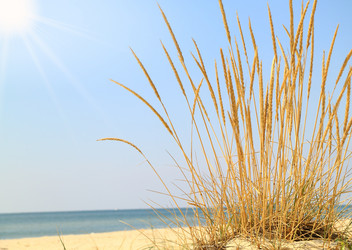 Similar image 629466