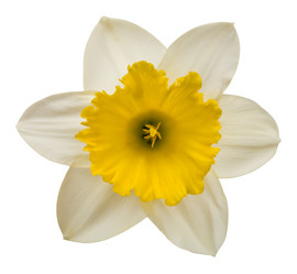 Similar image 629515