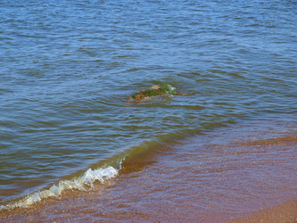 Similar image 629565