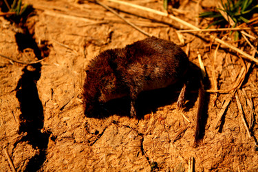 Similar image 629566