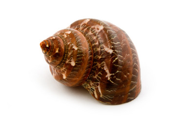 Similar image 629608