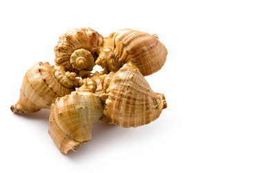 Similar image 629610