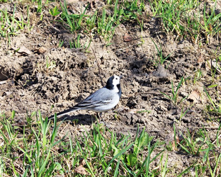 Similar image 629710