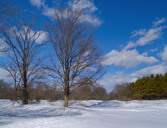 Similar image 629712