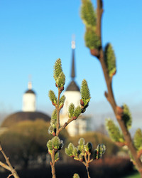 Similar image 629718