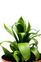 Similar image 629728