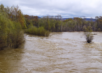 Similar image 629735