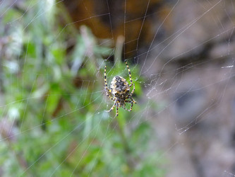 Similar image 629736