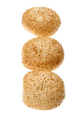 Similar image 629851