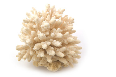 Similar image 629919