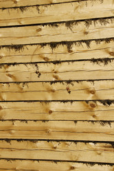 Similar image 629947