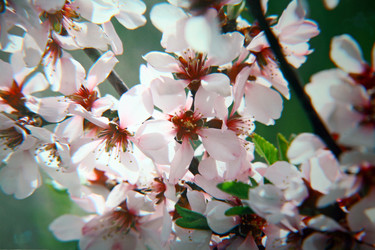 Similar image 629961