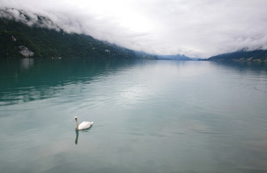 Similar image 629967