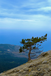 Similar image 629968