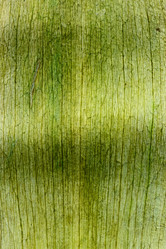 Similar image 629982