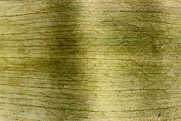 Similar image 629984