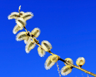 Similar image 630006