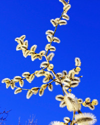 Similar image 630009