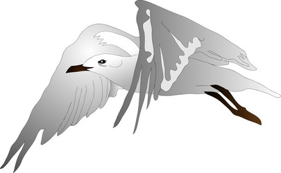 Similar image 630026