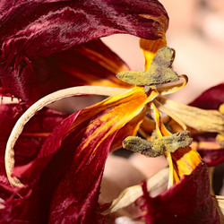 Similar image 630029