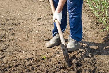 Similar image 630036