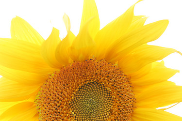 Similar image 630040