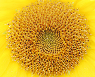 Similar image 630042