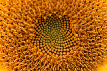 Similar image 630043