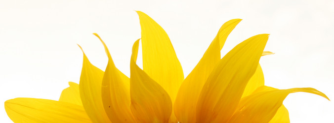 Similar image 630045