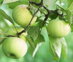 Similar image 630048