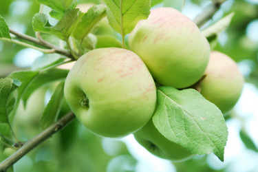 Similar image 630051