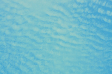 Similar image 630052