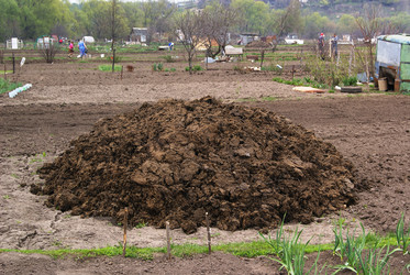 Similar image 630087