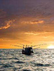 Similar image 630135